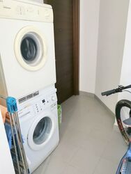 Residences @ Evelyn (D11), Condominium #304834521